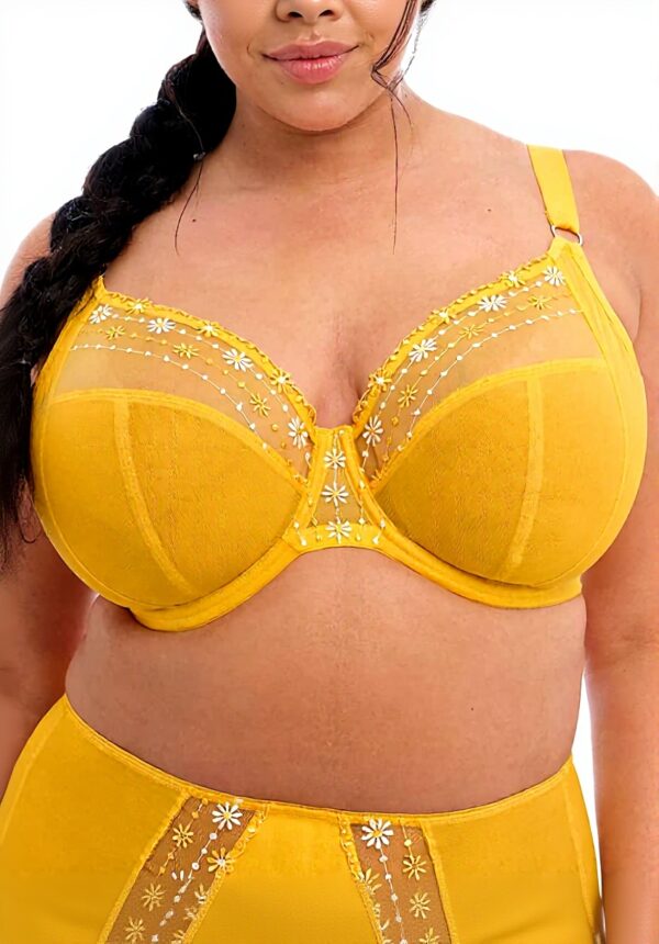 Soutien-gorge Elomi Matilda brodé plongeant grande taille