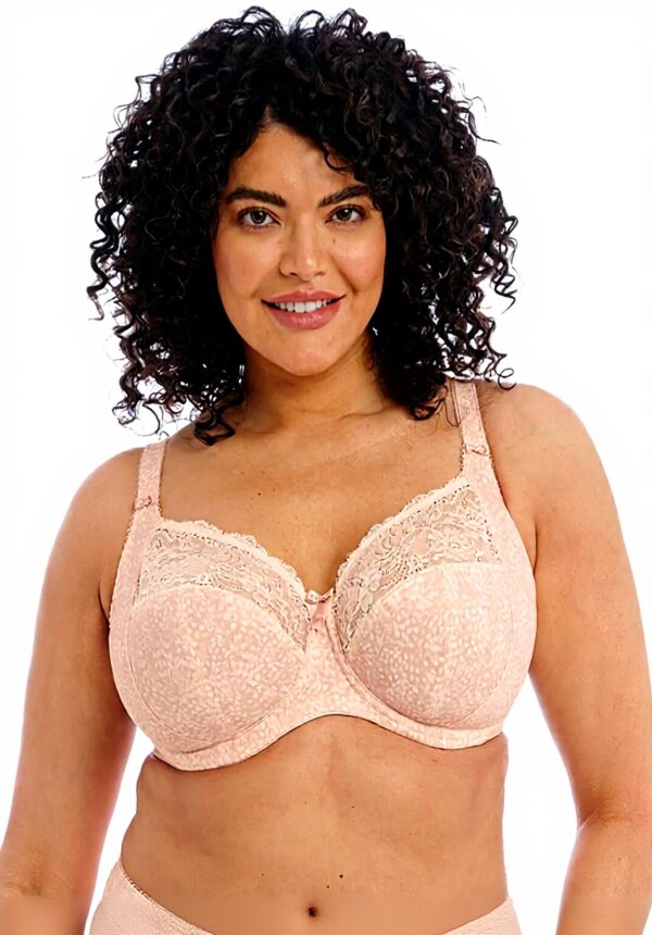 Elomi Morgan Soutien-Gorge en Dentelle élastique avec Armatures Couverture complète Opaque pour Femme