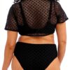 Elomi Culotte de Bain Taille Haute Grande Taille Bazaruto